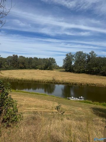 12954 Al Hwy 69 N, Baileyton, AL 35019