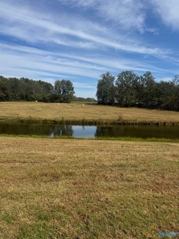 12954 Al Hwy 69 N, Baileyton, AL 35019