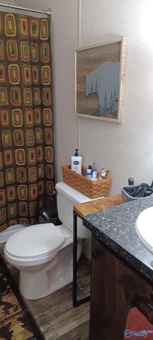 12954 Al Hwy 69 N, Baileyton, AL 35019