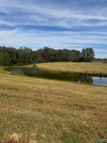 12954 Al Hwy 69 N, Baileyton, AL 35019