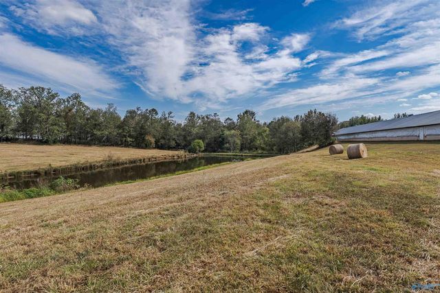 12954 Al Hwy 69 N, Baileyton, AL 35019