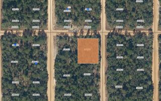 00 SHAPPELL AVENUE, Interlachen, FL 32148