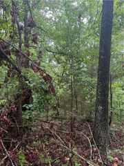 Lot 7, Block 5 Banff Drive, Bella Vista, AR 72715