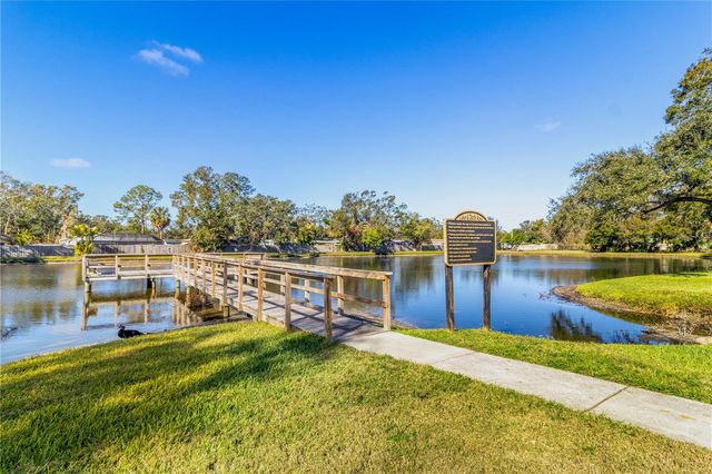 3823 N OAK DRIVE K22, Tampa, FL 33611