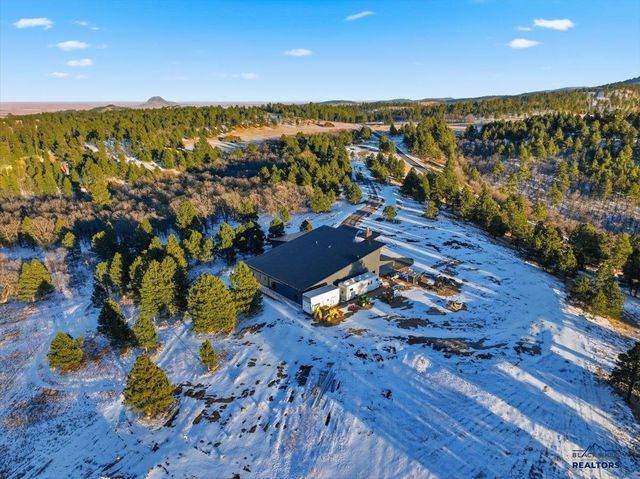 11846 THREE PEAKS PASS RD, Whitewood, SD 57793