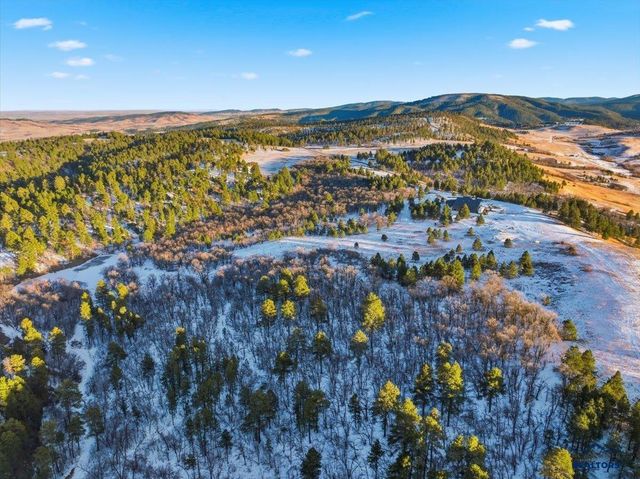 11846 THREE PEAKS PASS RD, Whitewood, SD 57793