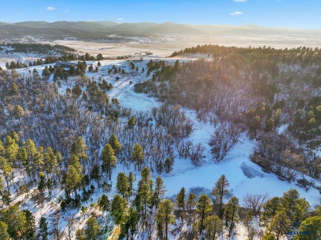 11846 THREE PEAKS PASS RD, Whitewood, SD 57793