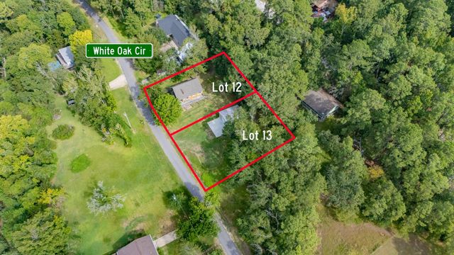 161 White Oak Street, Point Blank, TX 77364