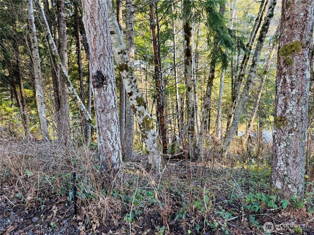 0 NE Lake Christine Road, Tahuya, WA 98588