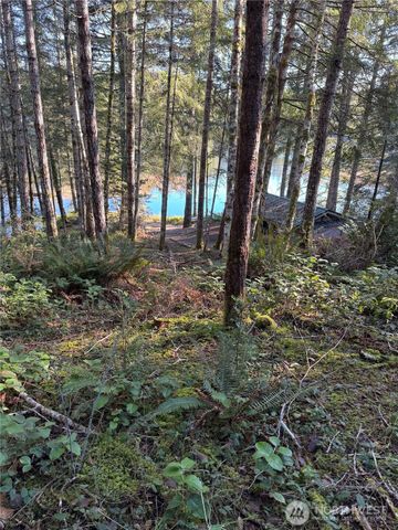0 NE Lake Christine Road, Tahuya, WA 98588
