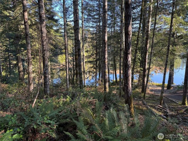 0 NE Lake Christine Road, Tahuya, WA 98588