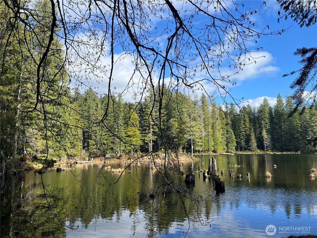 0 NE Lake Christine Road, Tahuya, WA 98588