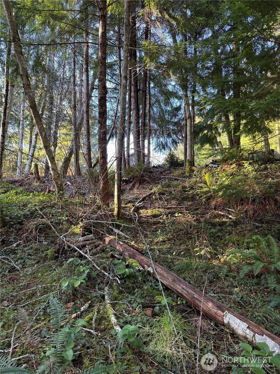 0 NE Lake Christine Road, Tahuya, WA 98588