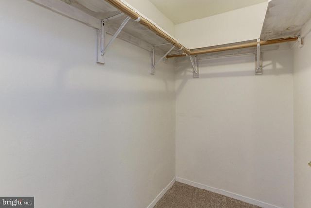 8920 57TH, Berwyn Heights, MD 20740