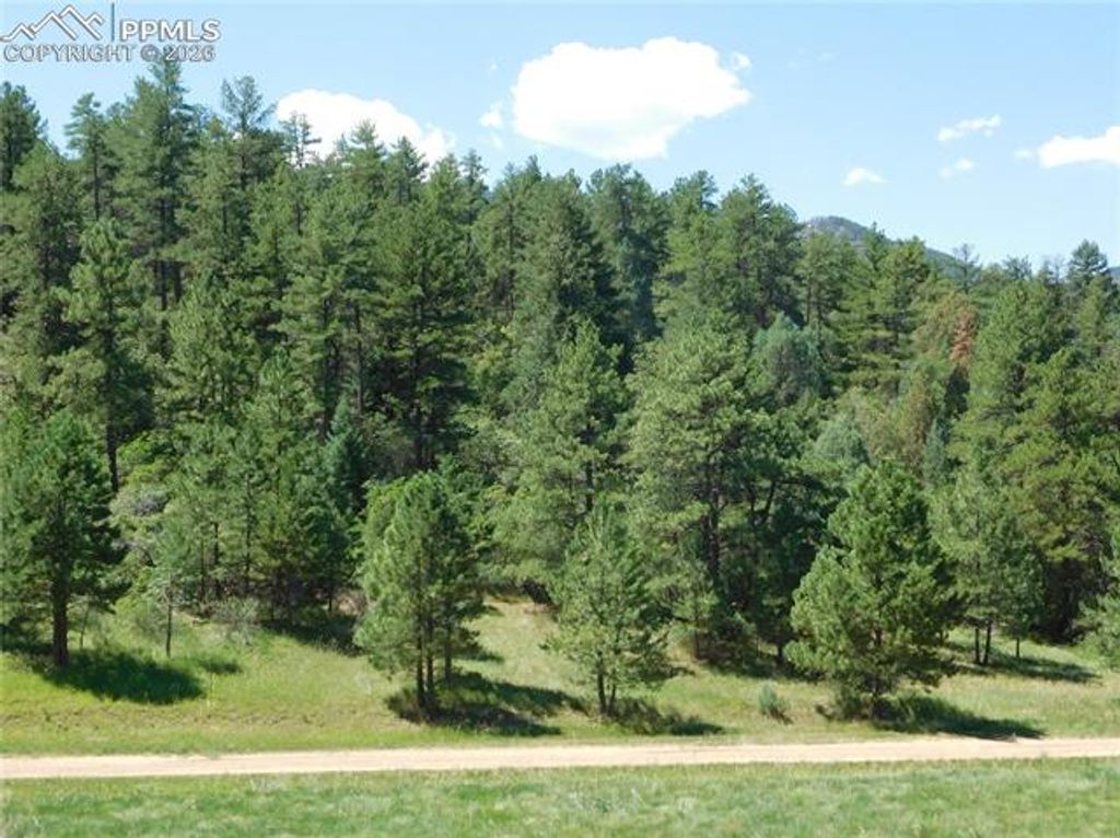 4668 Comanche Drive, Larkspur, CO 80118 — photo 2