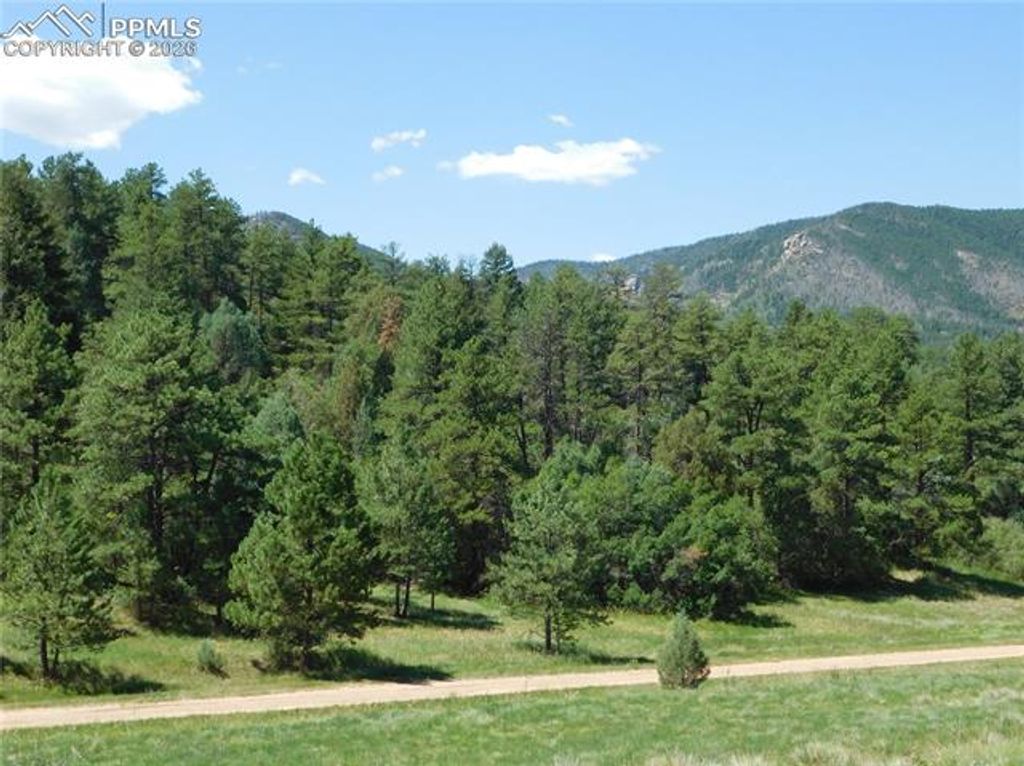 4668 Comanche Drive, Larkspur, CO 80118 — photo 3