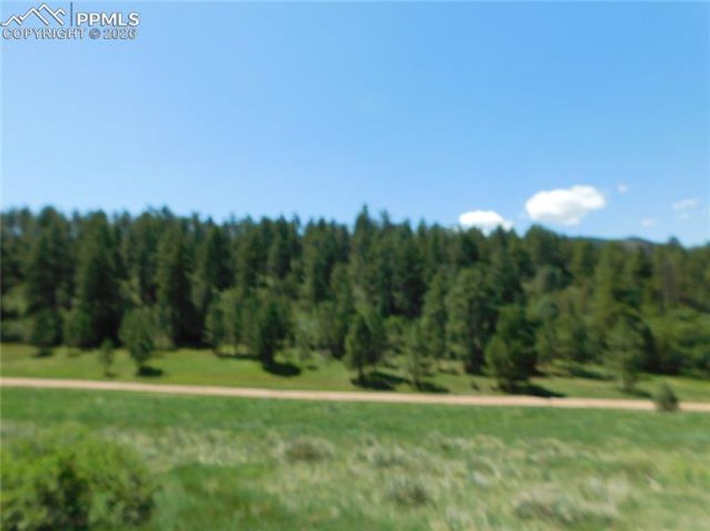 4668 Comanche Drive, Larkspur, CO 80118 — photo 4