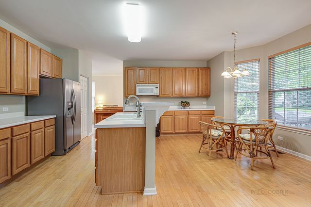 1999 Trevino Terrace, Vernon Hills, IL 60061