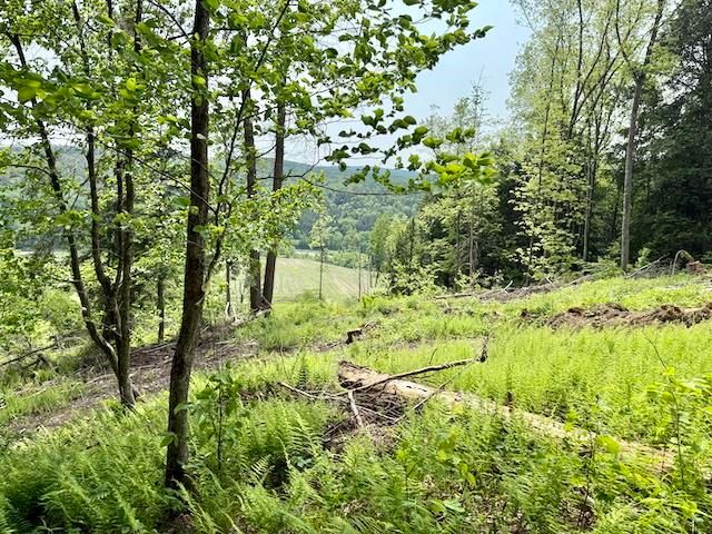 Peavine Boulevard, Bethel, VT 05032