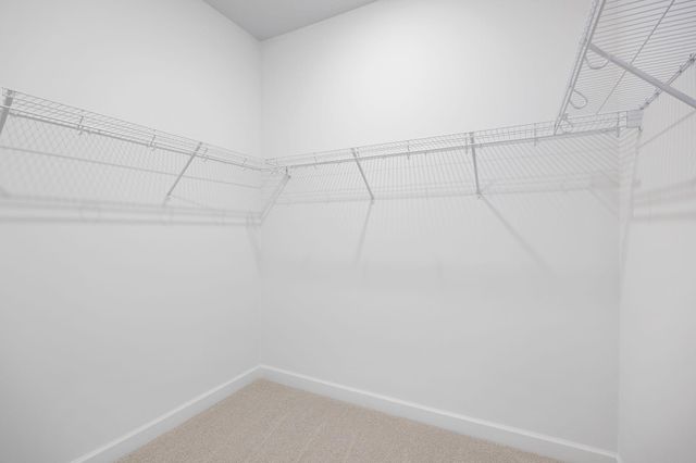 20153 Ginseng Way, Lakeville, MN 55044