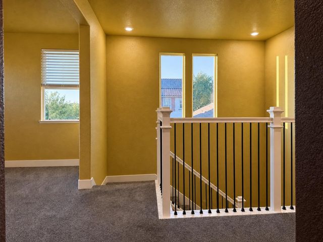 10021 Carinata Dr, Elk Grove, CA 95757