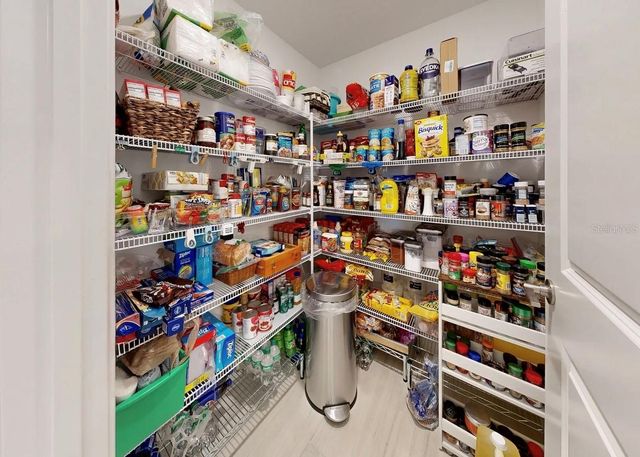 5336 WINDY GROVE DRIVE, Wimauma, FL 33598