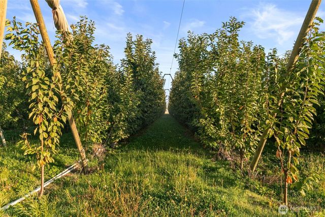 0 Road 9 NW, Quincy, WA 98848