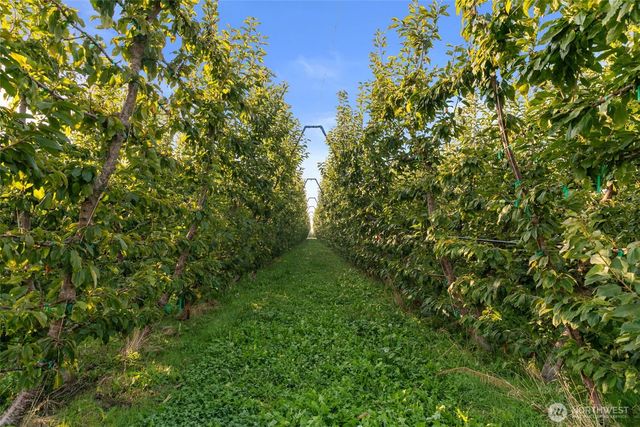 0 Road 9 NW, Quincy, WA 98848