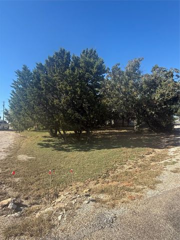 TBD Big Bend Drive, Whitney, TX 76692
