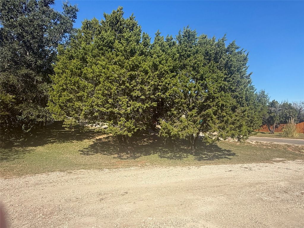 TBD Big Bend Drive, Whitney, TX 76692