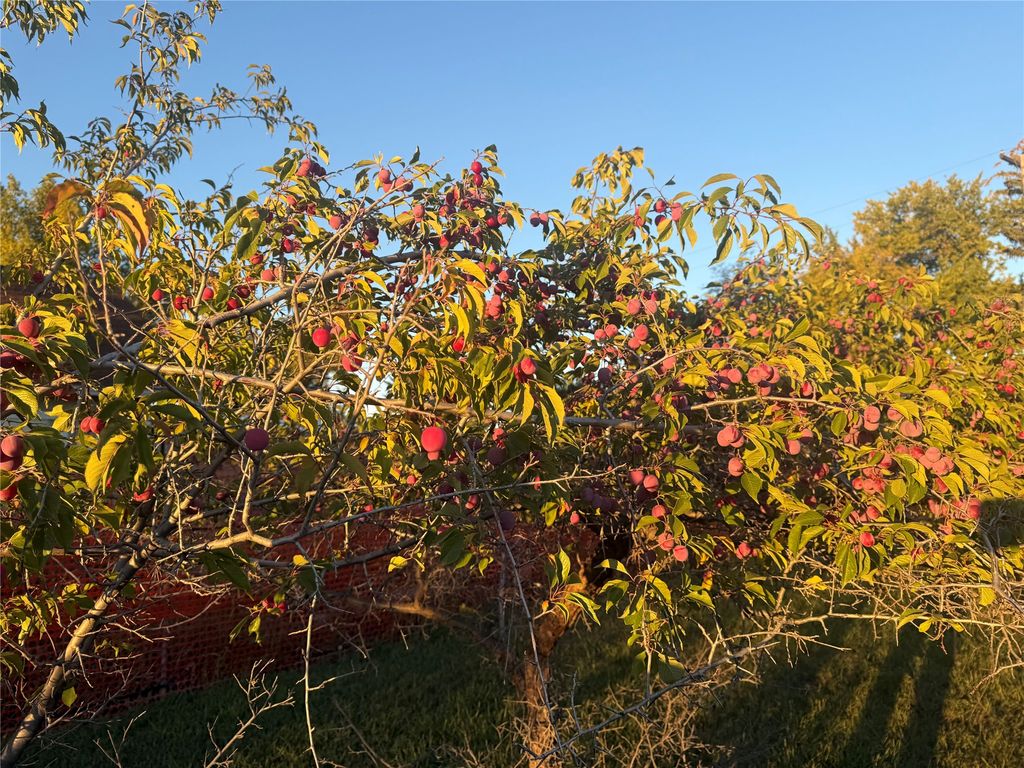 607 3rd Avenue SW, Choteau, MT 59422 photo 7