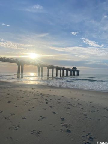 1101 2nd Ave N Apt 306, Surfside Beach, SC 29575