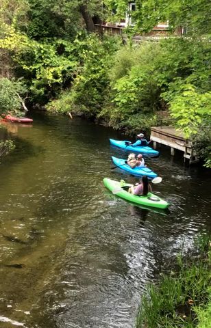 9629 N Kings Point, Irons, MI 49644