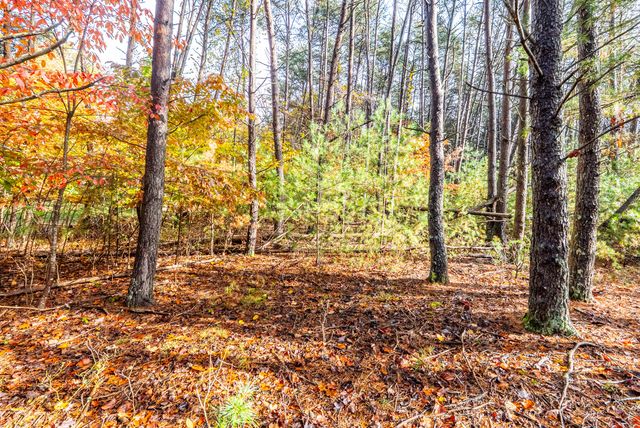 TBD Harbor Landing DR, Moneta, VA 24121