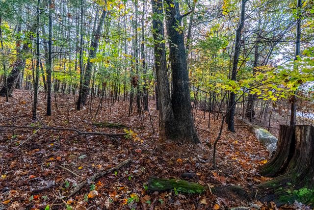 TBD Harbor Landing DR, Moneta, VA 24121