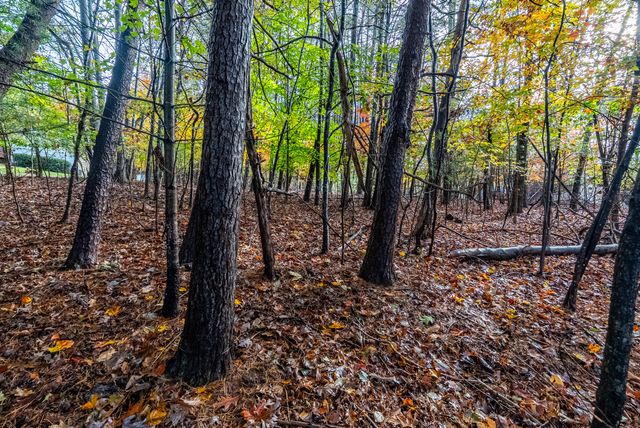 TBD Harbor Landing DR, Moneta, VA 24121