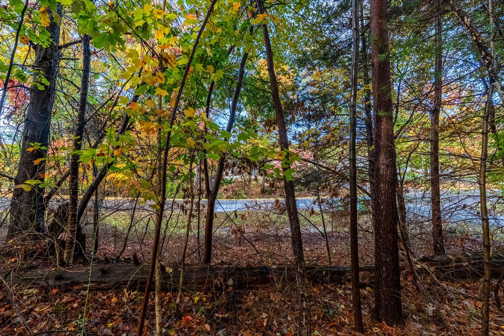 TBD Harbor Landing DR, Moneta, VA 24121