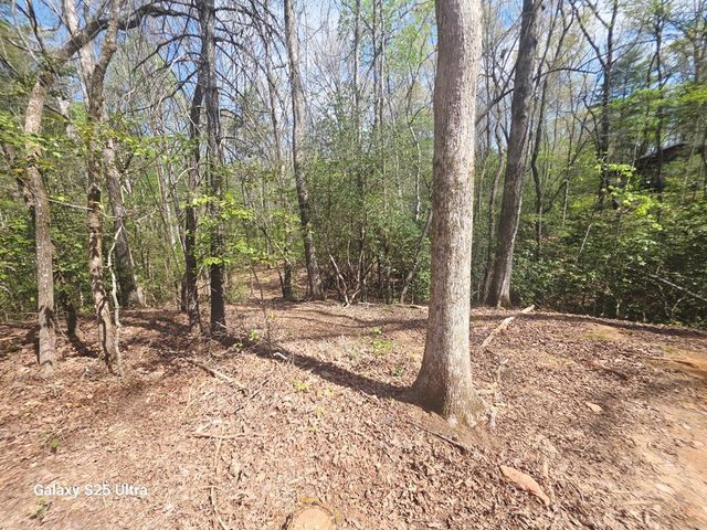369 Nottely River Road, Murphy, NC 28906
