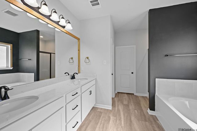 11157 Coral Delight Ave, Gonzales, LA 70737