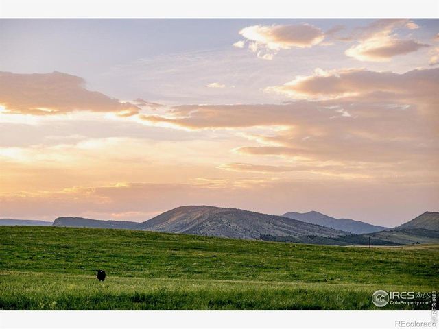 11534 Eagle Springs Trail, Longmont, CO 80503