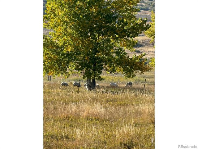 11534 Eagle Springs Trail, Longmont, CO 80503