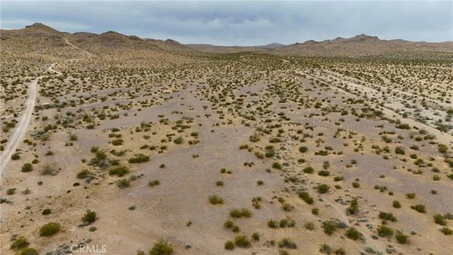 725 Desert Flower, Adelanto, CA 92301