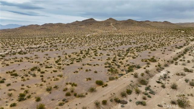 725 Desert Flower, Adelanto, CA 92301