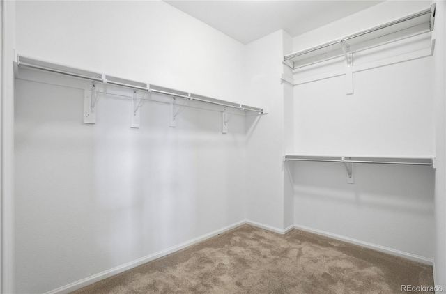 2855 Rock Creek Circle 308, Superior, CO 80027