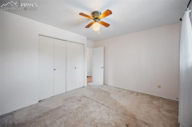 638 Dove Place, Colorado Springs, CO 80906