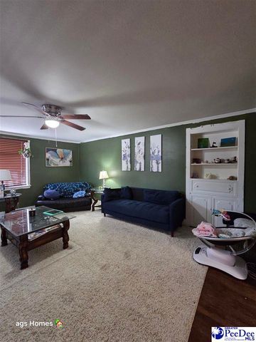 3 Robey, Cheraw, SC 29520