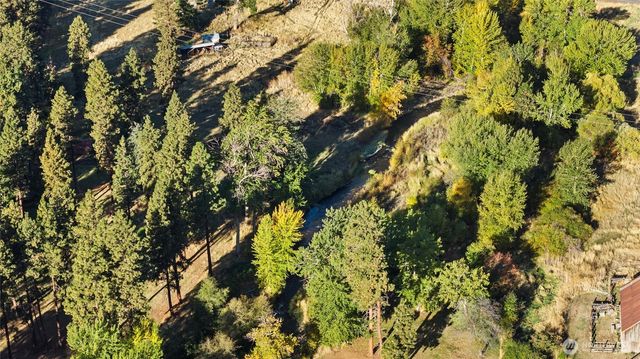 106 Wolf Ridge Lane, Dayton, WA 99328