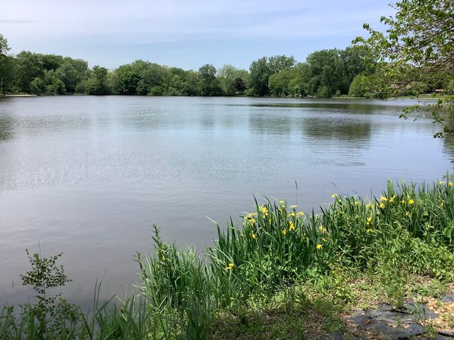 8408 Lakeside Drive, Downers Grove, IL 60516