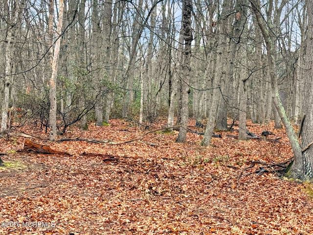 80 Ivins Drive, New Egypt, NJ 08533