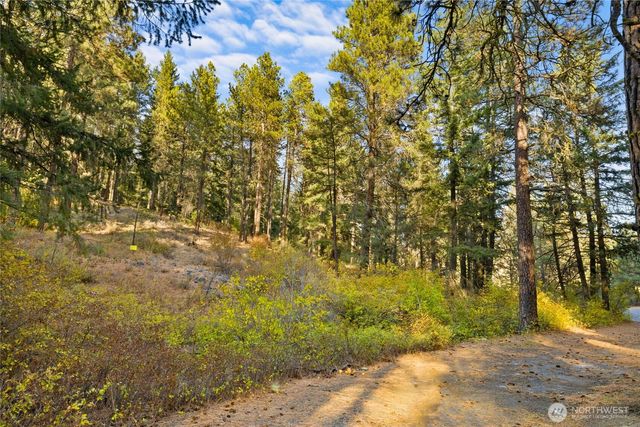 15 XX Elk Heights Road, Cle Elum, WA 98922